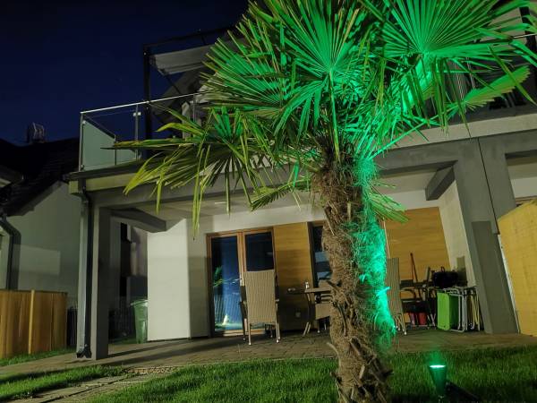 Komfortowy Dom, Apartamenty pod palmami Komfortowy Dom, Apartamenty pod palmami