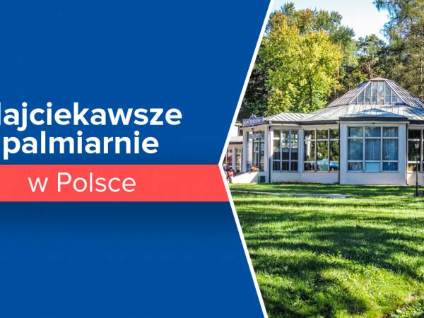 Najciekawsze palmiarnie w Polsce