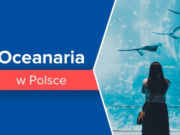 Najlepsze oceanaria w Polsce
