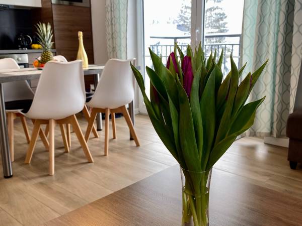 Apartament Prestige Apartament Prestige
