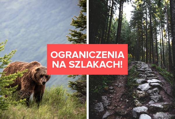 Ograniczenia na tatrzańskich szlakach. Czym są spowodowane?