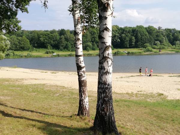Domek letniskowy nad jeziorem Domek letniskowy nad jeziorem