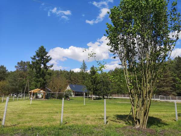 Agroturystyka PLENER Agroturystyka PLENER