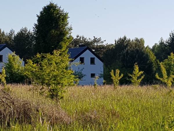 Zacisze Czapli Domki Kopalino Zacisze Czapli Domki Kopalino