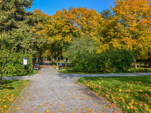 Park Ludowy im. Wincentego Witosa Park Ludowy im. Wincentego Witosa