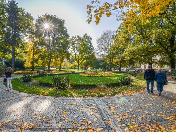 Park im. Jana Kochanowskiego Park im. Jana Kochanowskiego