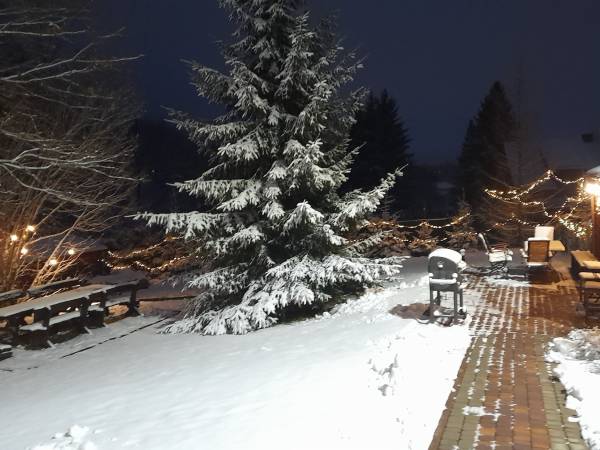 ogród