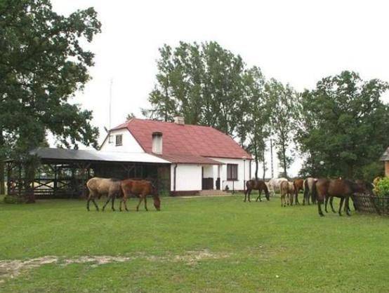 Biała Podlaska