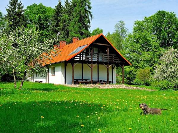 Agroturystyka Koprzywnica Agroturystyka Koprzywnica