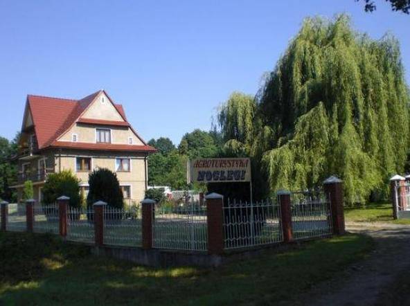 Ścinawka Górna