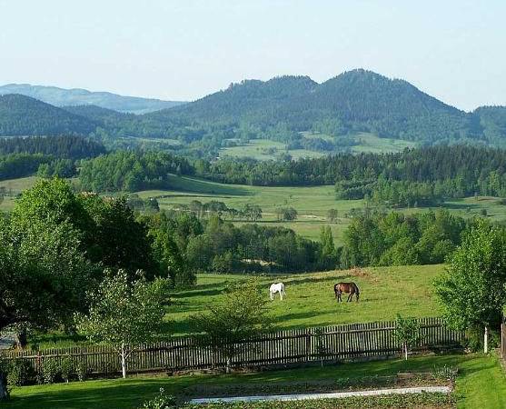 Bukowiec