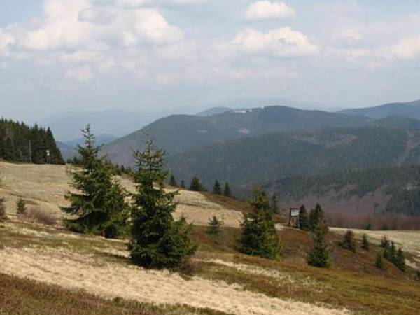 Rycerka Dolna