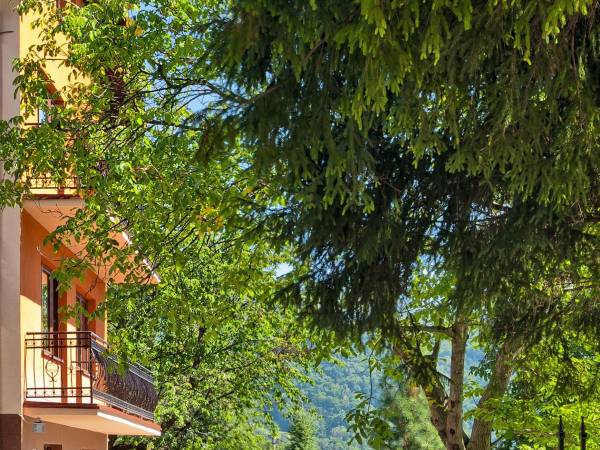 Apartamenty Bażancia Chatka Apartamenty Bażancia Chatka