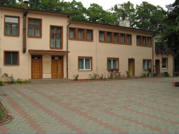 Wierzchy