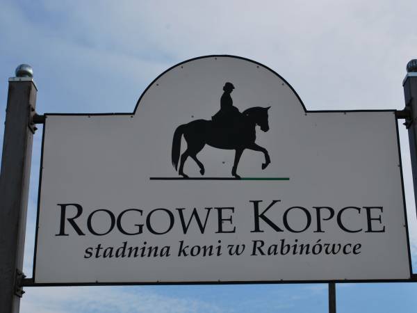 Rabinówka