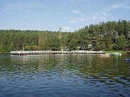 Gołubie