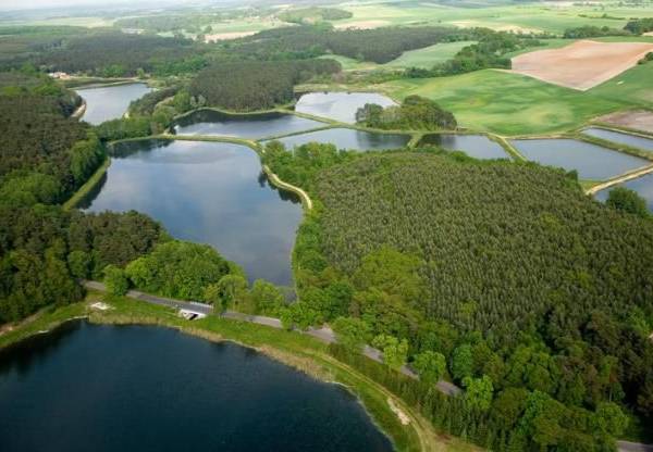 Rychtal