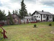Dzióbin