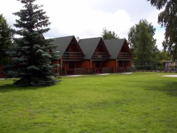 Skoki