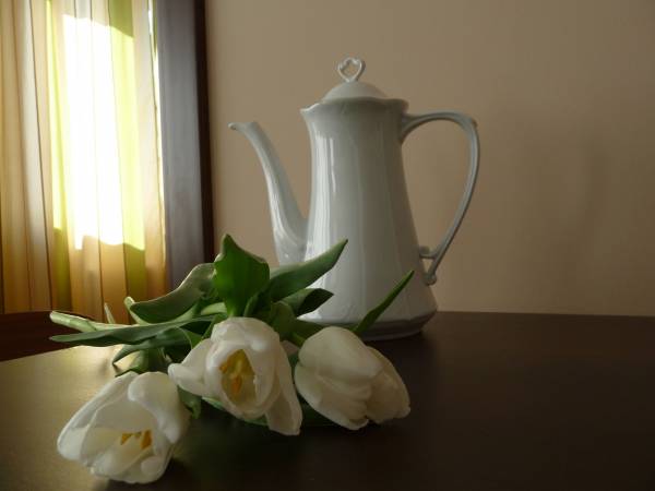 Apartament Bella Nova Apartament Bella Nova