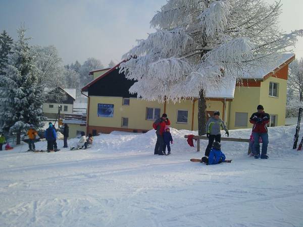 Pokoje i apartamenty Domino