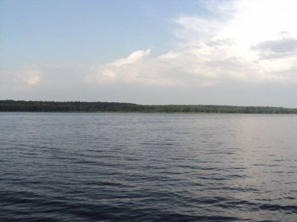 Lucień