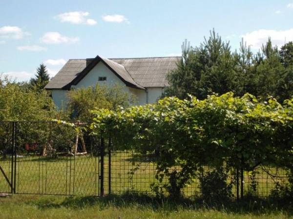 Złota Woda