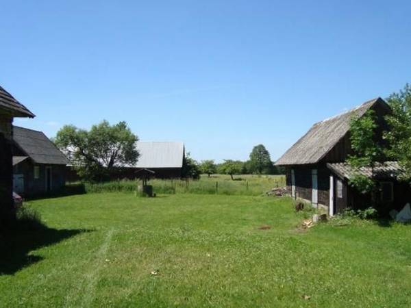 Borowskie Żaki