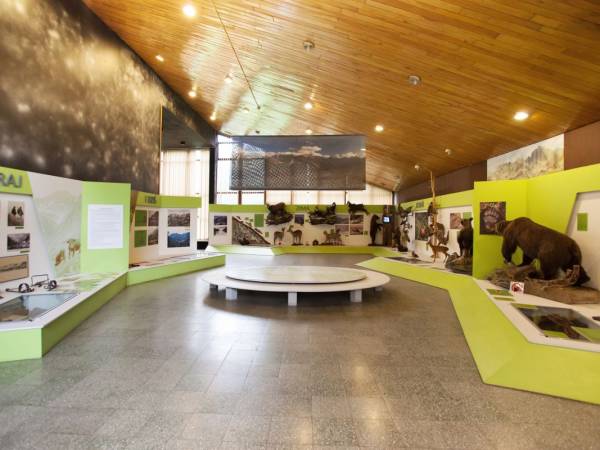 Das Naturmuseum des Tatra Nationalparks