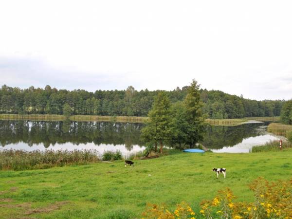 Agrokwatera Nad Krejwelkiem Agrokwatera Nad Krejwelkiem