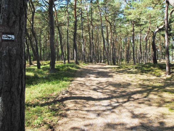 Ścieżka Nordic Walking - trasa nr 3
