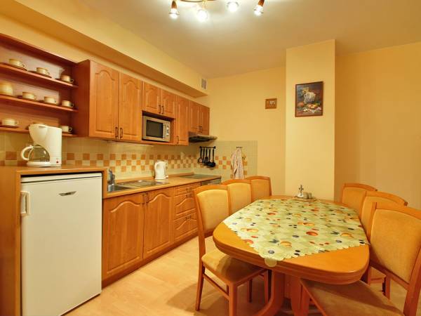 APARTMENTS HORNI MISECKY & APARTMENTs DALIBOR SPINDLERUV MLYN * * * APARTMENTS HORNI MISECKY & APARTMENTs DALIBOR SPINDLERUV MLYN * * *