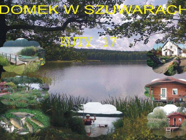Domek w Szuwarach