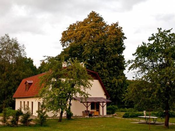 Studzienice