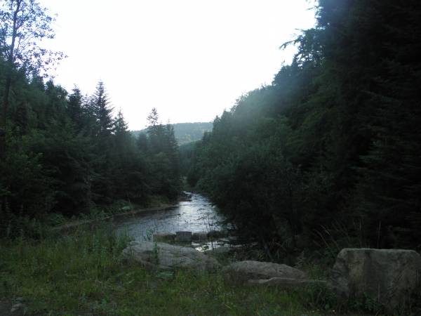 rzeka Kamienica