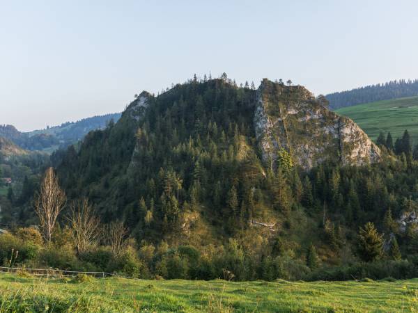 Rezerwat przyrody Biała Woda - FOTOGALERIA