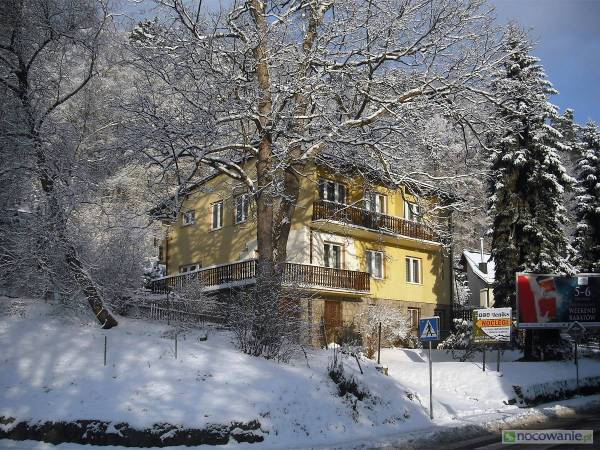 Feniks Krynica - pokoje gościnne