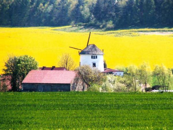 Gogołów