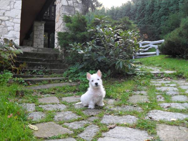 Noce i Dnie Pokoje i Apartamenty