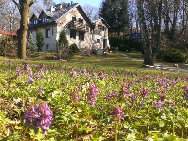 Noce i Dnie Pokoje i Apartamenty