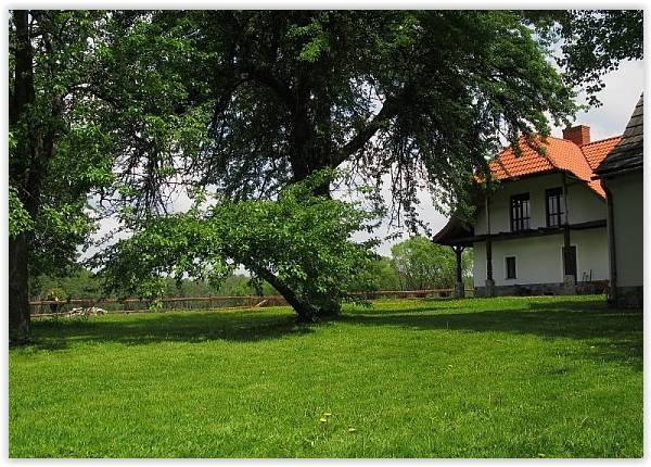 Uroczysko Kożuchowski Młyn