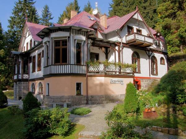 Sale Weselne Willa Liczyrzepa