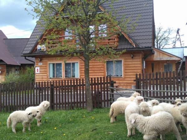 Pokoje u SARNOWSKICH (Pipenka) Koscielisko k/ZAKOPANE Nocleg