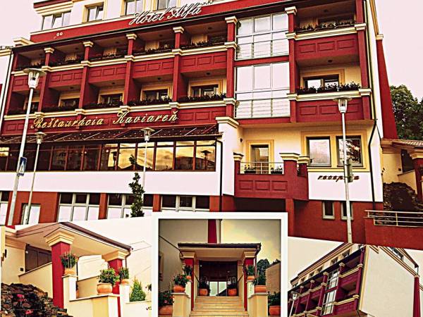 HOTEL ALFA***