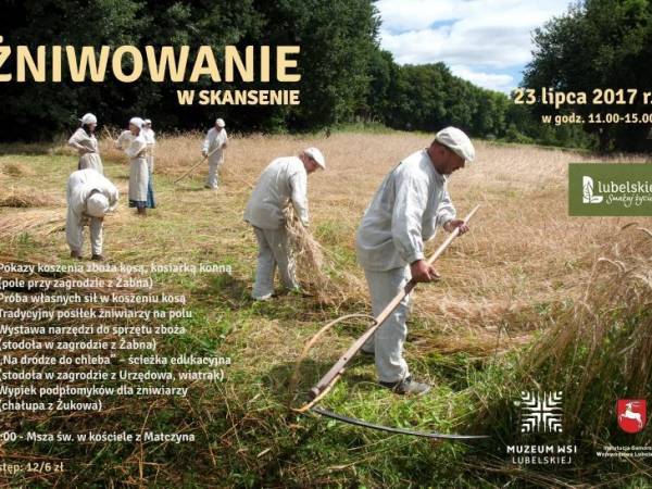 Żniwowanie w Muzeum Wsi Lubelskiej