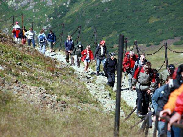 Grupy zorganizowane Willa Nimfa