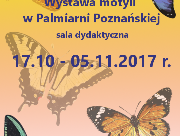 Wystawa motyli w Palmiarni Poznańskiej