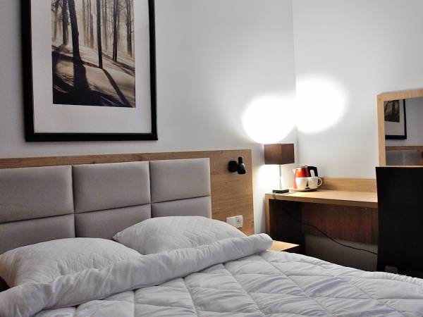 Oferta poza weekendem Willa Centrum