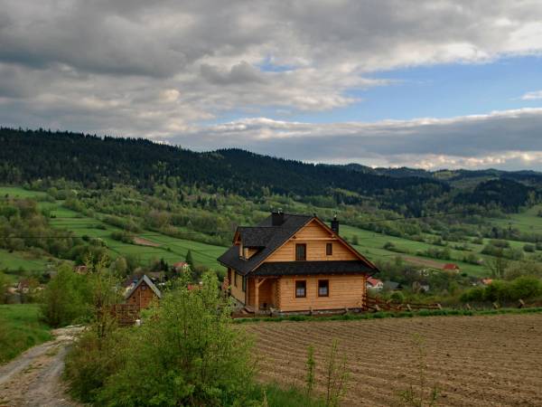 Kocoń