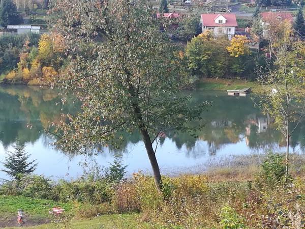 Widok na Jezioro Solińskie